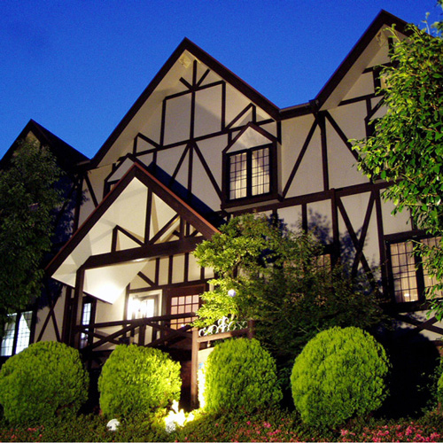 オレンジベリーの写真1