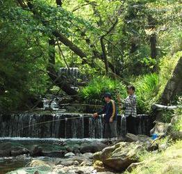 白糸マス釣りセンターの写真1