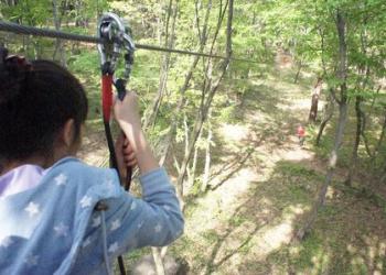 フォレストアドベンチャーおおひらの写真1