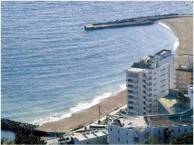 熱川温泉 熱川大和館の写真1