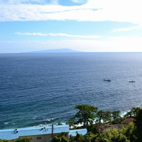 東伊豆・北川温泉 源泉かけ流し・海鮮炭火焼の宿 星ホテルの写真1