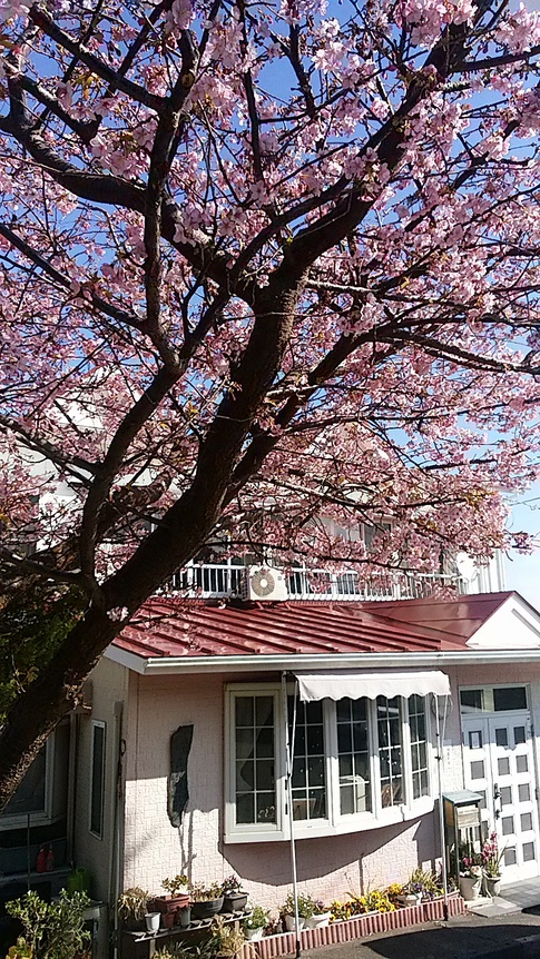 味の彩り主役は金目鯛 お宿 花の木の写真1
