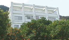 オレンジヒルズ・イン東伊豆の写真1