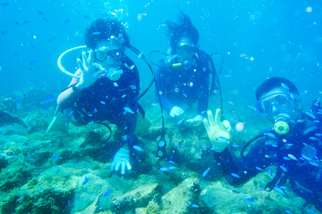 アクオス-伊豆の写真1