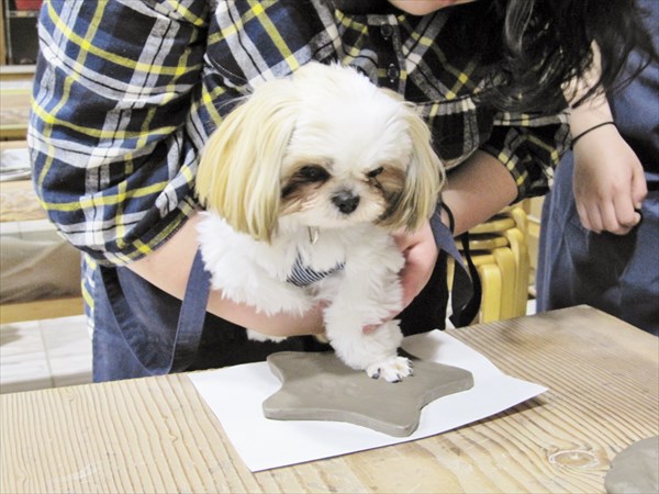 陶芸体験 八幡野窯の写真1