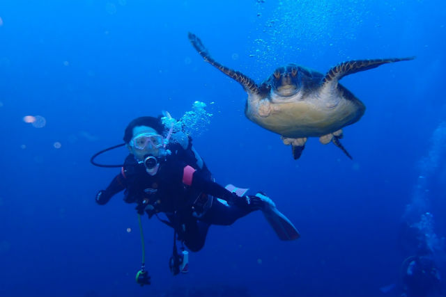 WITH新宿の写真1