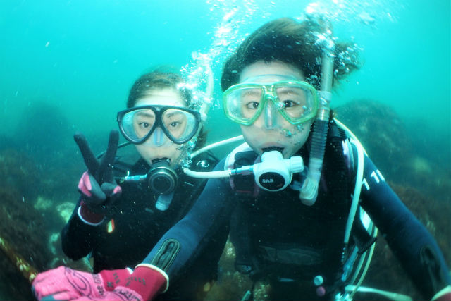 ダイブハウス P-FISHの写真1