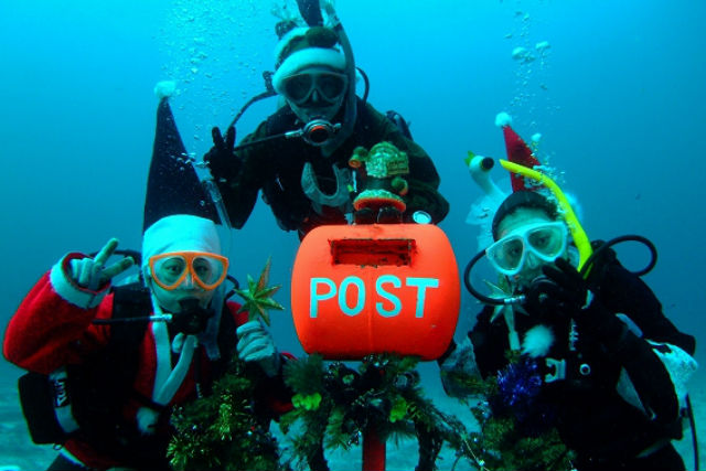 リーフレイダーズの写真1