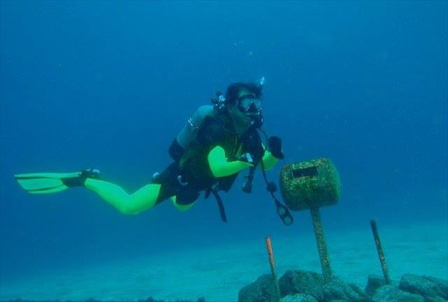 むねダイビングショップの写真1