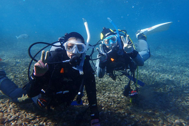 マリンハウス レイアロハの写真1