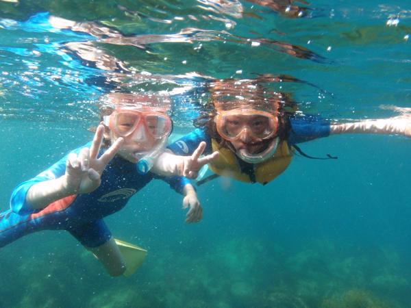 イエローフィンの写真1