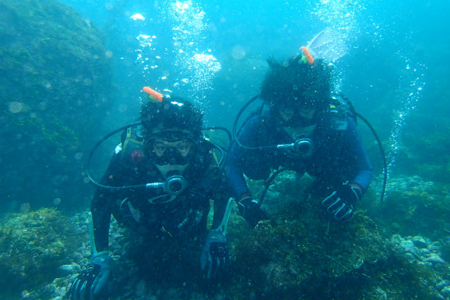 城ケ崎潜水の写真1