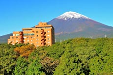 富士之堡華園ホテルの写真1