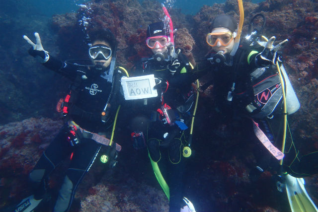 ダイビングスクール海の学校の写真1