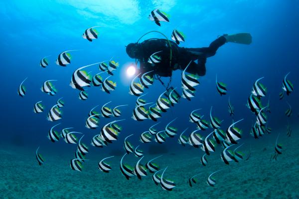 川奈ガイドサービス ジェスターの写真1