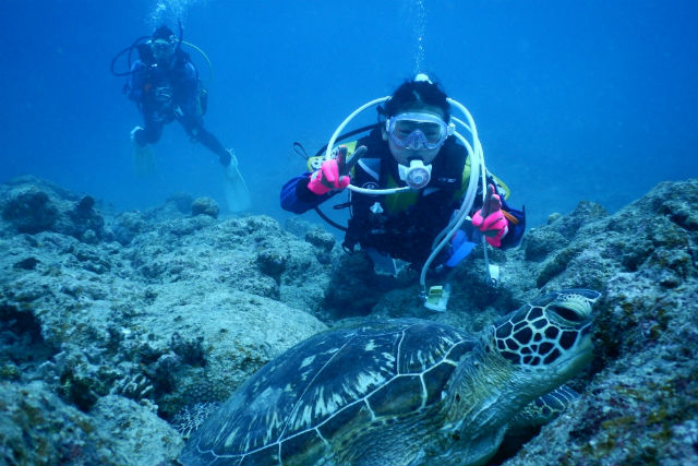 ダイビングインストラクターセンター伊豆の写真1