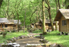 べんてんじまヴィレッジの写真1