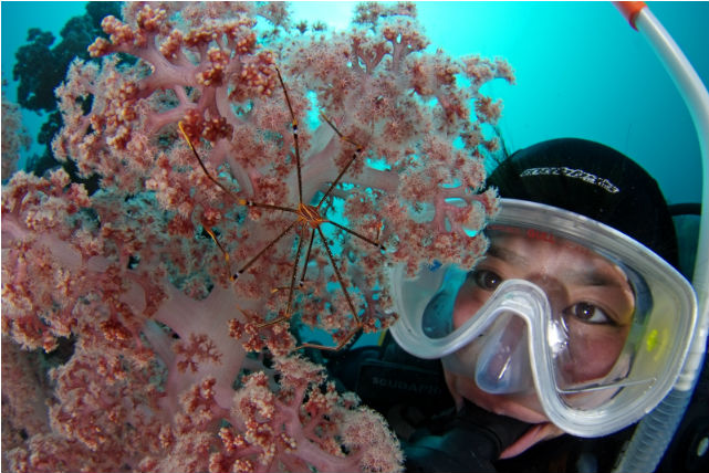 DIVE GREENの写真1