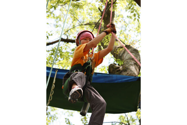 Mother Treeふぉーらむの写真1