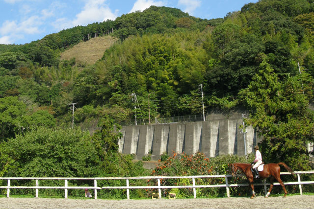 伊豆の乗馬クラブ天城ホースビレッジの写真1