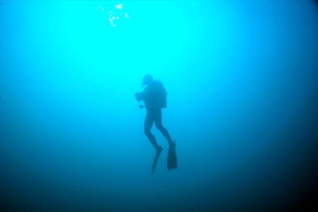 菖蒲沢ダイビングセンターの写真1