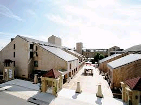 SUNPLAZA SEASONSの写真1