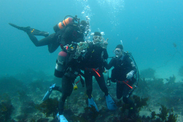 須崎ダイビングセンターの写真1