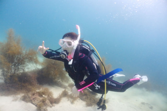 AIRE Diving Schoolの写真1