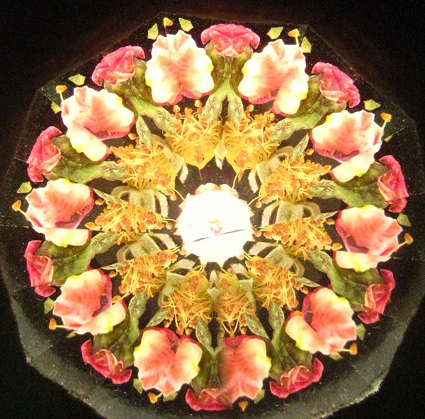 グラススタジオ ケグラニアンの写真1