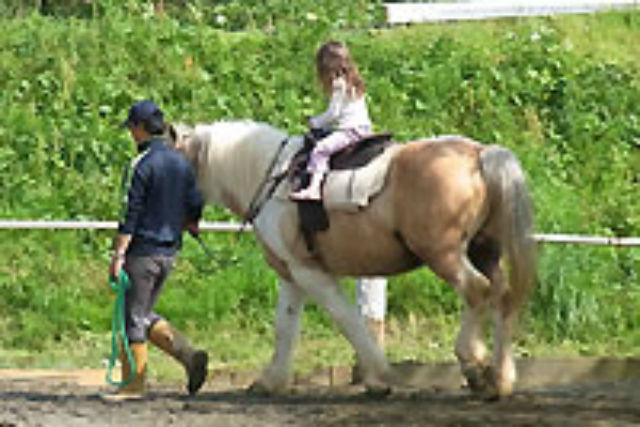 伊豆下田乗馬クラブの写真1