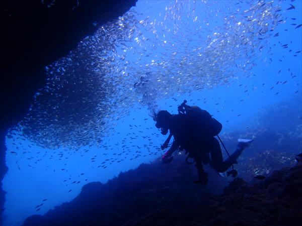 クリオネダイバーズの写真1