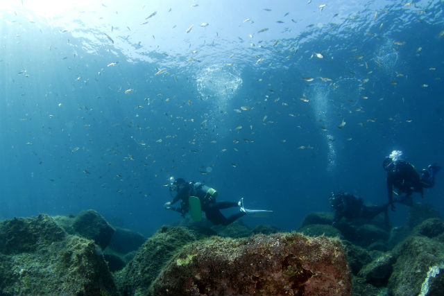 黄金崎ダイブセンターの写真1
