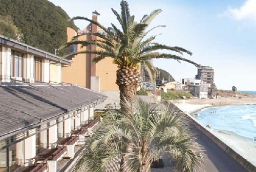 会席料理・お宿 しぼりやの写真1