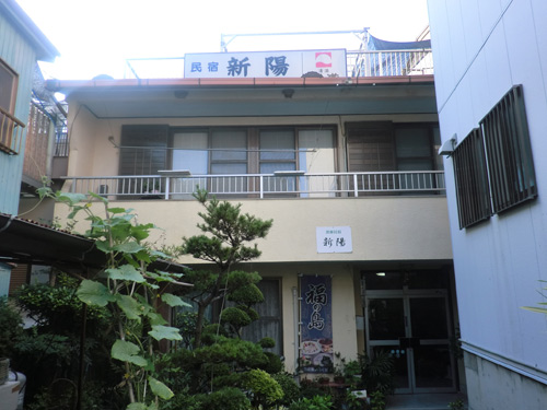 日間賀島 民宿新陽の写真1