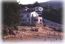 ニューうず潮の写真1