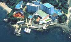 ニュー美しまの写真1