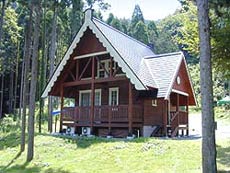 大見いこいの広場の写真1