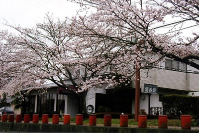 ペンション紫香楽の写真1