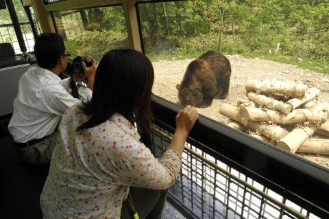 サホロリゾート 『ベア・マウンテン』の写真1