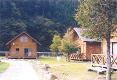 観光農園 江和ランドの写真1