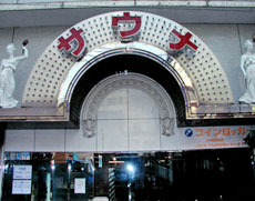 サウナ&カプセルホテルニュー小岩310