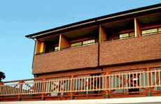 もろこや <八丈島>