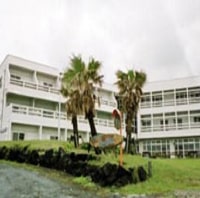 マリンプラザ ワイズドリーム <大島>