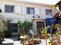 きくや <東京都・新島>