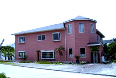 シーフラワー 青峰 <新島>