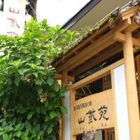 箱根あんじゅ 山紫苑