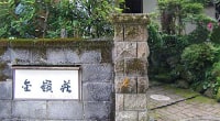 大涌谷温泉 金嶺荘