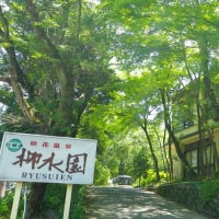 咲花温泉 柳水園