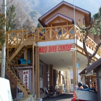 漁師の宿 大盤振る舞い ゑびす屋