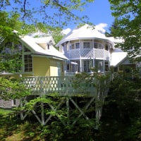 グリーンバスケット